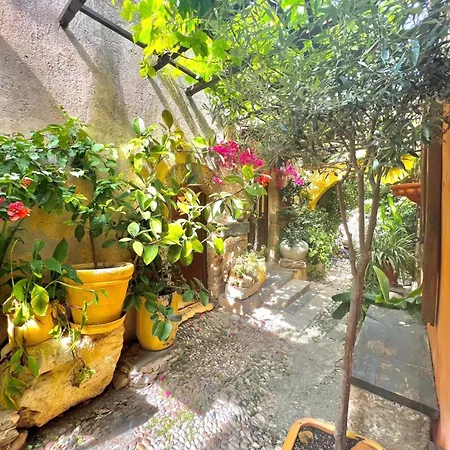Ippos Old Town